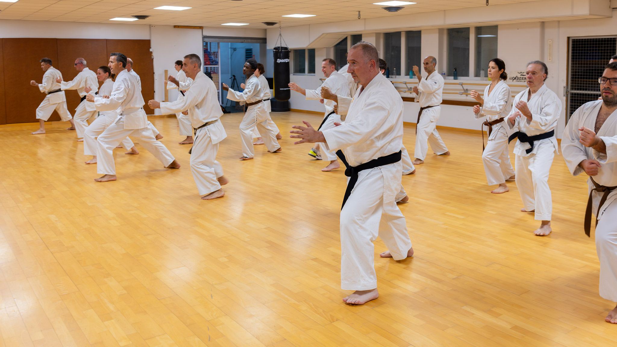 Le groupe aligné en oi-zuki pendant le kihon