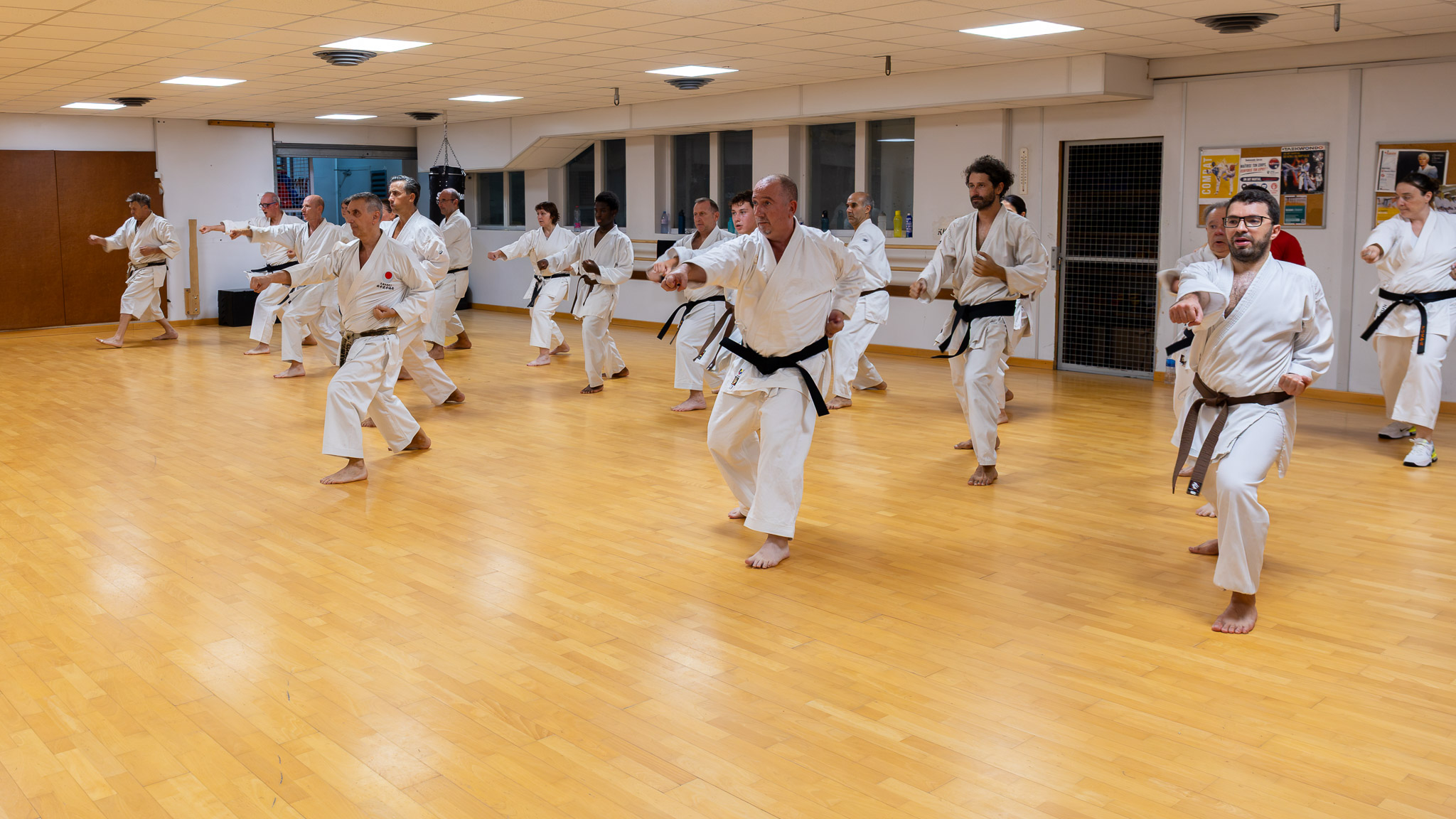 Le cours adultes du lundi 14 septembre 2026, tout le groupe en kihon sur le parquet