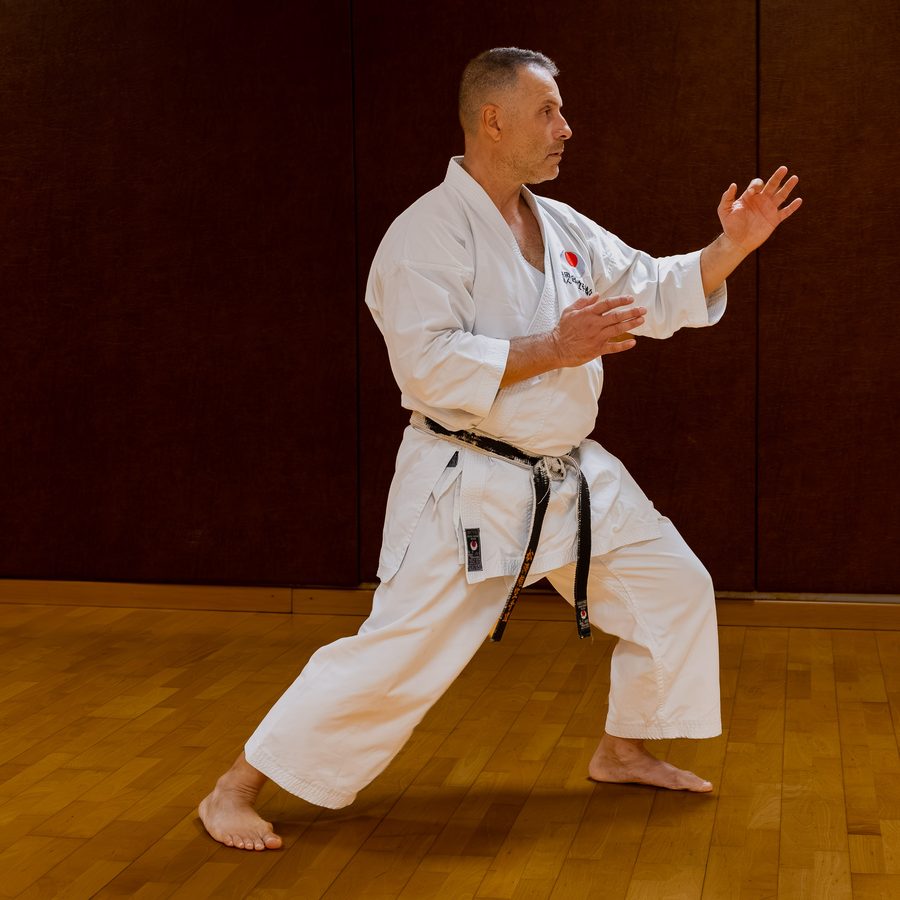 José Da Silva de profil, en garde, mains ouvertes