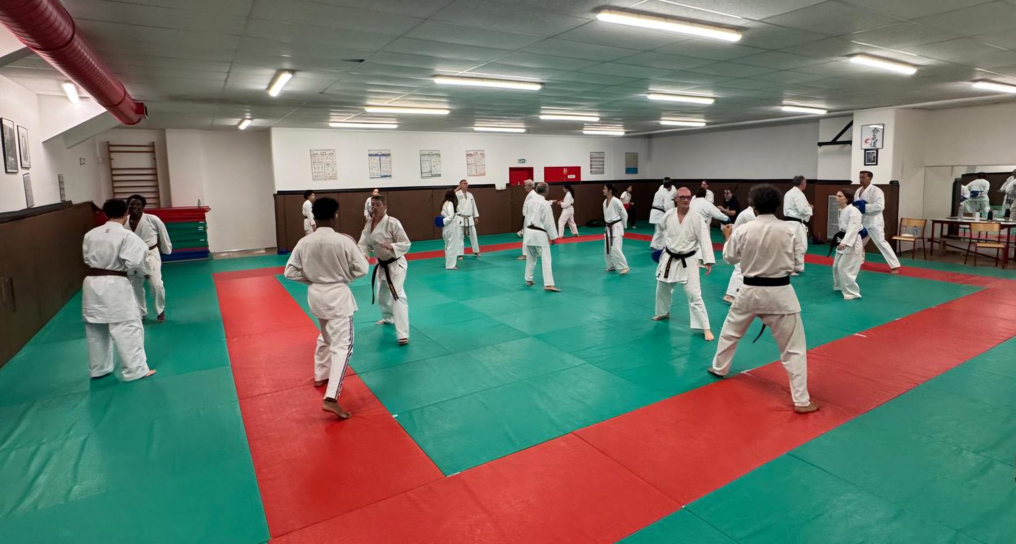 Vue d'ensemble du cours, les binômes en place sur le tatami