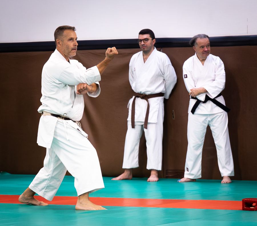 Un pratiquant concentré sur une technique de poing